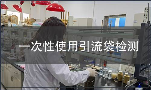 一次性使用引流袋检测