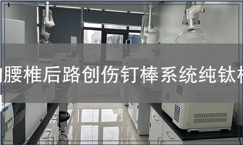 胸腰椎后路创伤钉棒系统纯钛检测