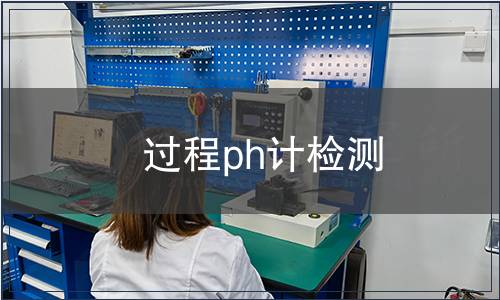 过程ph计检测