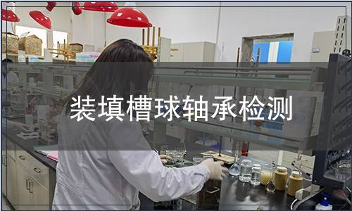 装填槽球轴承检测