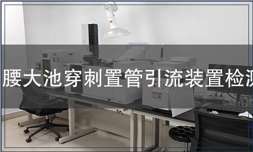 腰大池穿刺置管引流装置检测