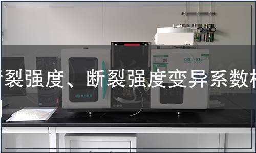 断裂强度、断裂强度变异系数检测