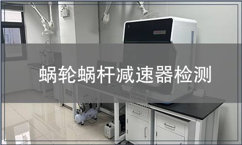 蜗轮蜗杆减速器检测