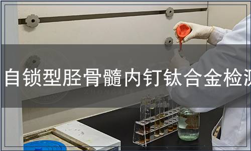 自锁型胫骨髓内钉钛合金检测