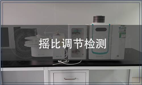 摇比调节检测