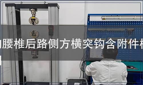 胸腰椎后路侧方横突钩含附件检测