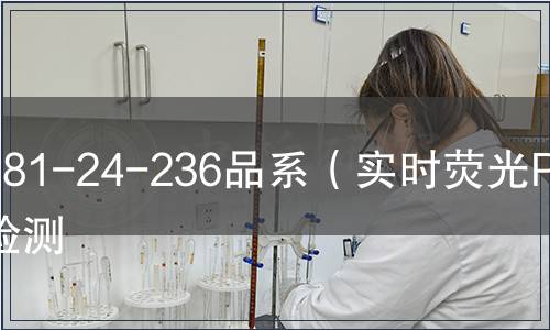 281-24-236品系（实时荧光PCR）检测
