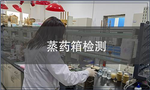 蒸药箱检测