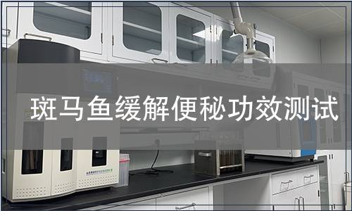 斑马鱼缓解便秘功效测试