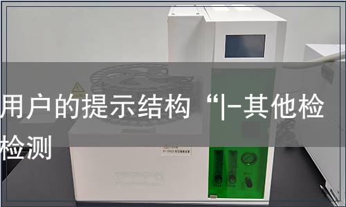 查看用户的提示结构“|-其他检测”检测