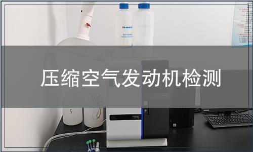 压缩空气发动机检测