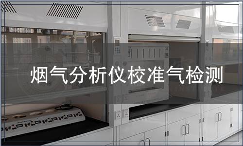 烟气分析仪校准气检测