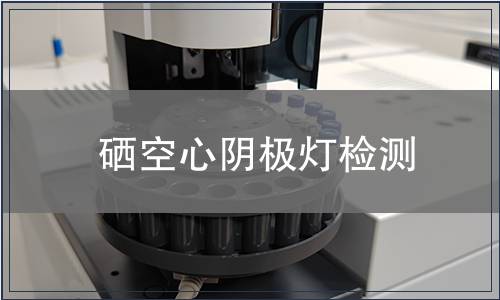硒空心阴极灯检测