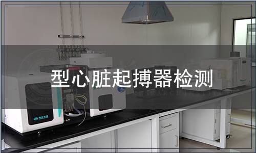 型心脏起搏器检测