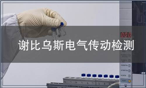 谢比乌斯电气传动检测