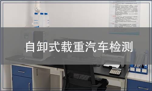 自卸式载重汽车检测