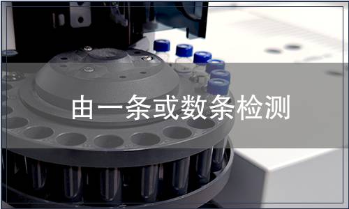 由一条或数条检测