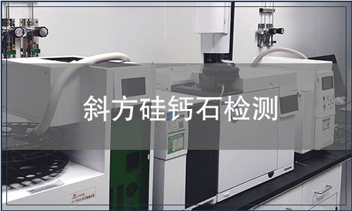 斜方硅钙石检测