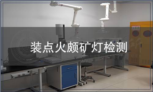 装点火颇矿灯检测