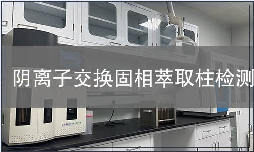 阴离子交换固相萃取柱检测
