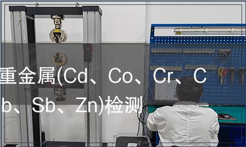 可溶出性重金属(Cd、Co、Cr、Cu、Ni、Pb、Sb、Zn)检测