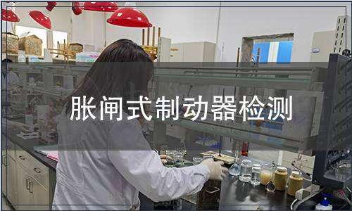 胀闸式制动器检测