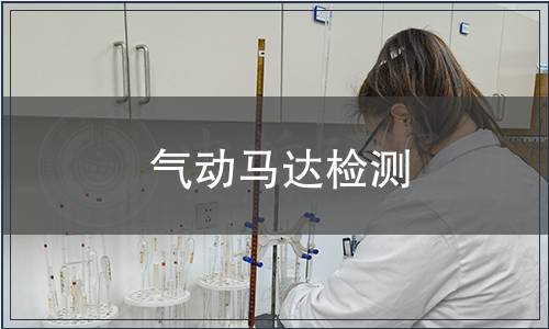 气动马达检测