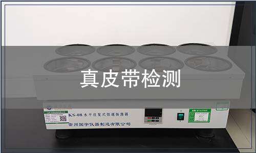 真皮带检测