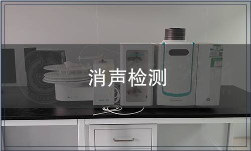 消声检测