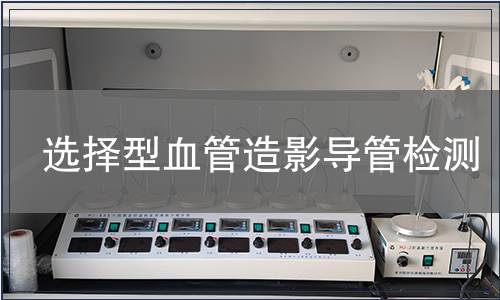 选择型血管造影导管检测