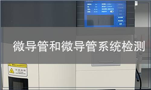 微导管和微导管系统检测