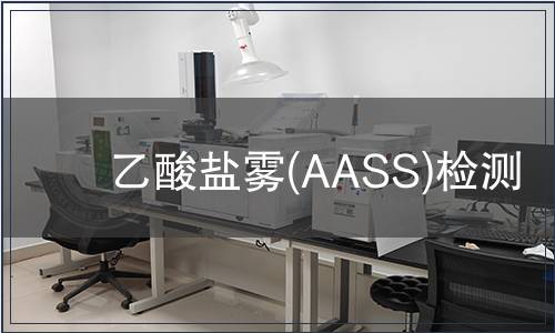 乙酸盐雾(AASS)检测
