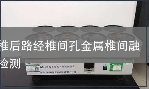 胸腰椎后路经椎间孔金属椎间融合器检测