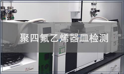 聚四氟乙烯器皿检测