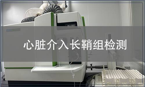 心脏介入长鞘组检测