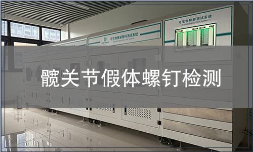 髋关节假体螺钉检测