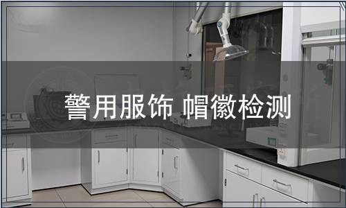 警用服饰 帽徽检测