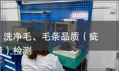 分级毛、洗净毛、毛条品质（疵点、重量）检测