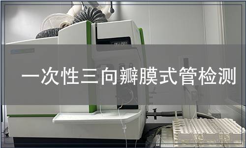 一次性三向瓣膜式管检测
