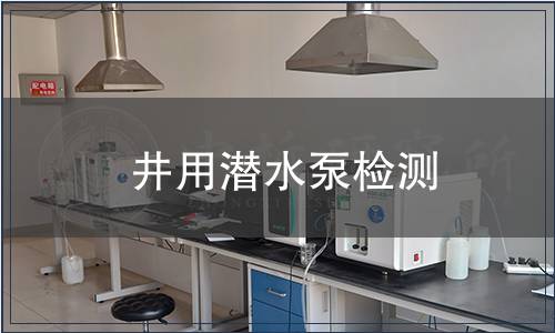 井用潜水泵检测