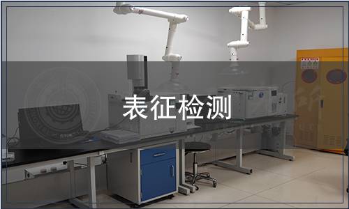 表征检测