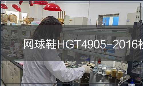 网球鞋HGT4905-2016检测,网球鞋HGT4905-2016检测报告 网球鞋HGT4905-2016检测