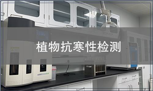 植物抗寒性检测