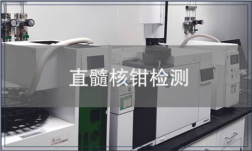 直髓核钳检测