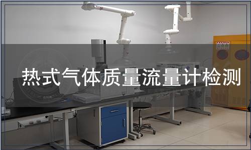 热式气体质量流量计检测