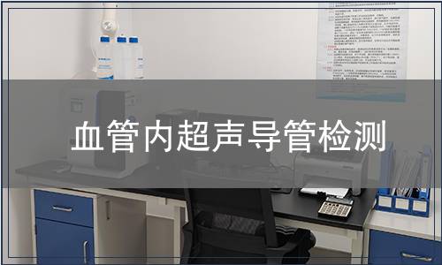 血管内超声导管检测