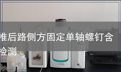 胸腰椎后路侧方固定单轴螺钉含附件检测