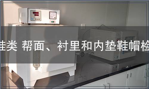 鞋类 帮面、衬里和内垫鞋帽检测
