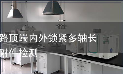 胸腰椎后路顶端内外锁紧多轴长臂螺钉含附件检测