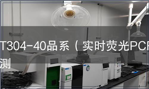 T304-40品系（实时荧光PCR）检测